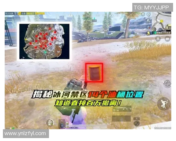 王丽专访：回顾和平精英的成长历程与未来展望